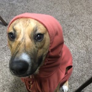 Meet your Posher, Aaron